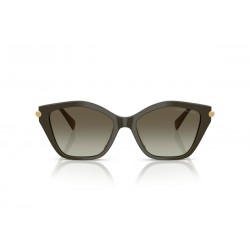Γυαλιά Ηλίου Michael Kors Catskills MK2246U 40193M-Gradient-Olive Smoke