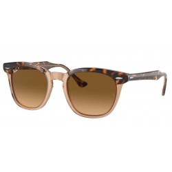 Sunglasses RAY-BAN Hawkeye RB2298 1292/M2 Polarized- Havana on Transparent Brown