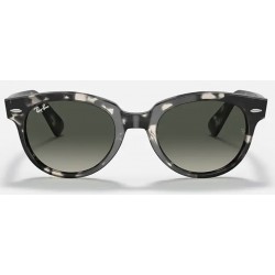 Sunglasses Ray-Ban Orion RB 2199 1333/71-gradient-grey Havana
