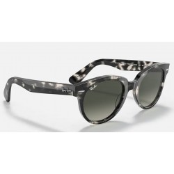 Sunglasses Ray-Ban Orion RB 2199 1333/71-gradient-grey Havana