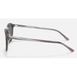 Sunglasses Ray-Ban Leonard RB 2193 1314/Β1-matte striped grey