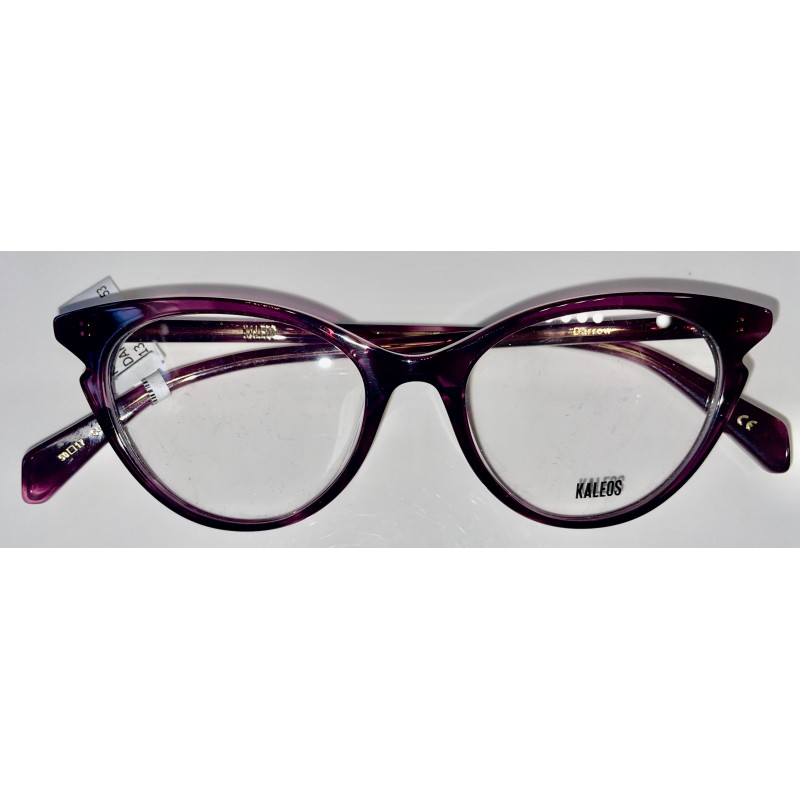 Eyeglasses KALEOS DARROW 13-Purple
