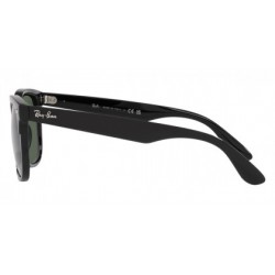 Sunglasses Ray-Ban Steve RB4487 662971-Black