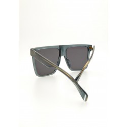 Sunglasses KALEOS WINSLOW 05-transparent grey