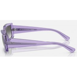 Sunglasses Ray-Ban Kiliane Bio-Based RB4395 66858E-Gradient-transparent violet