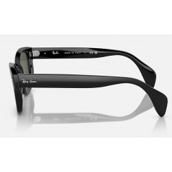 Sunglasses Ray-Ban RB0880S 901/31-Black