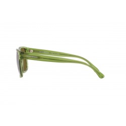 Sunglasses Emporio Armani EA4163 588473-Transparent green