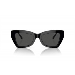Sunglasses Michael Kors Montecito MK 2205 300587-black