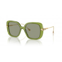 Sunglasses Swarovski SK6011 3002/2-Transparent green