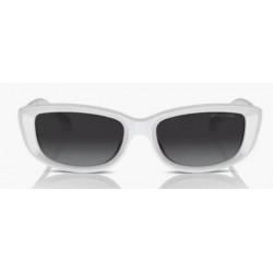 Sunglasses Michael Kors Asheville MK2210U 31008G-Gradient-Optic White